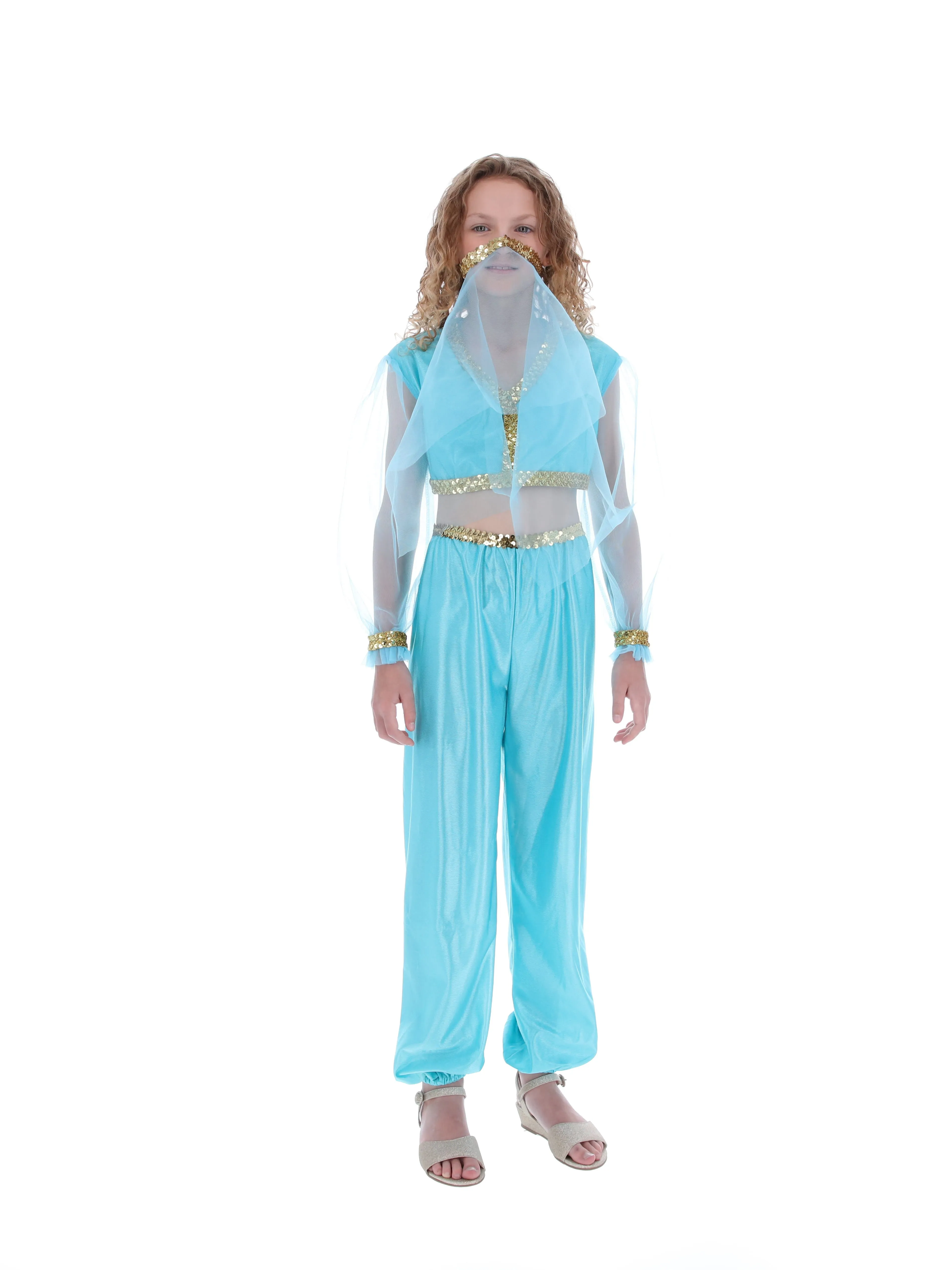 Arabian Princess Costume