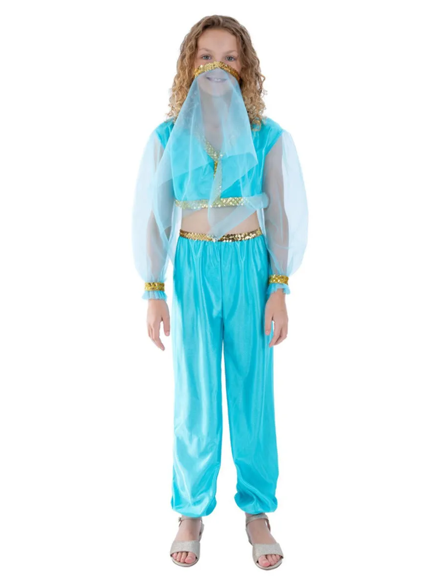 Arabian Princess Costume